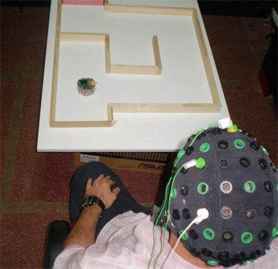 Los investigadores miden la actividad cerebral con electrodos en el cuero cabelludo