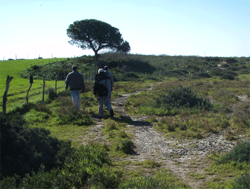 Cordón de arenas marinas de un antiguo tsunami en el interior de la Bahía de Cádiz.